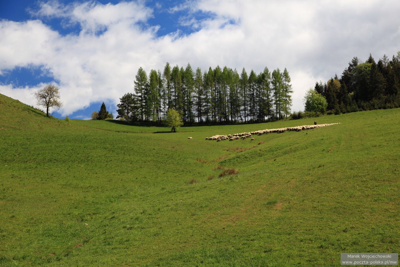Pieniny - Biala Woda